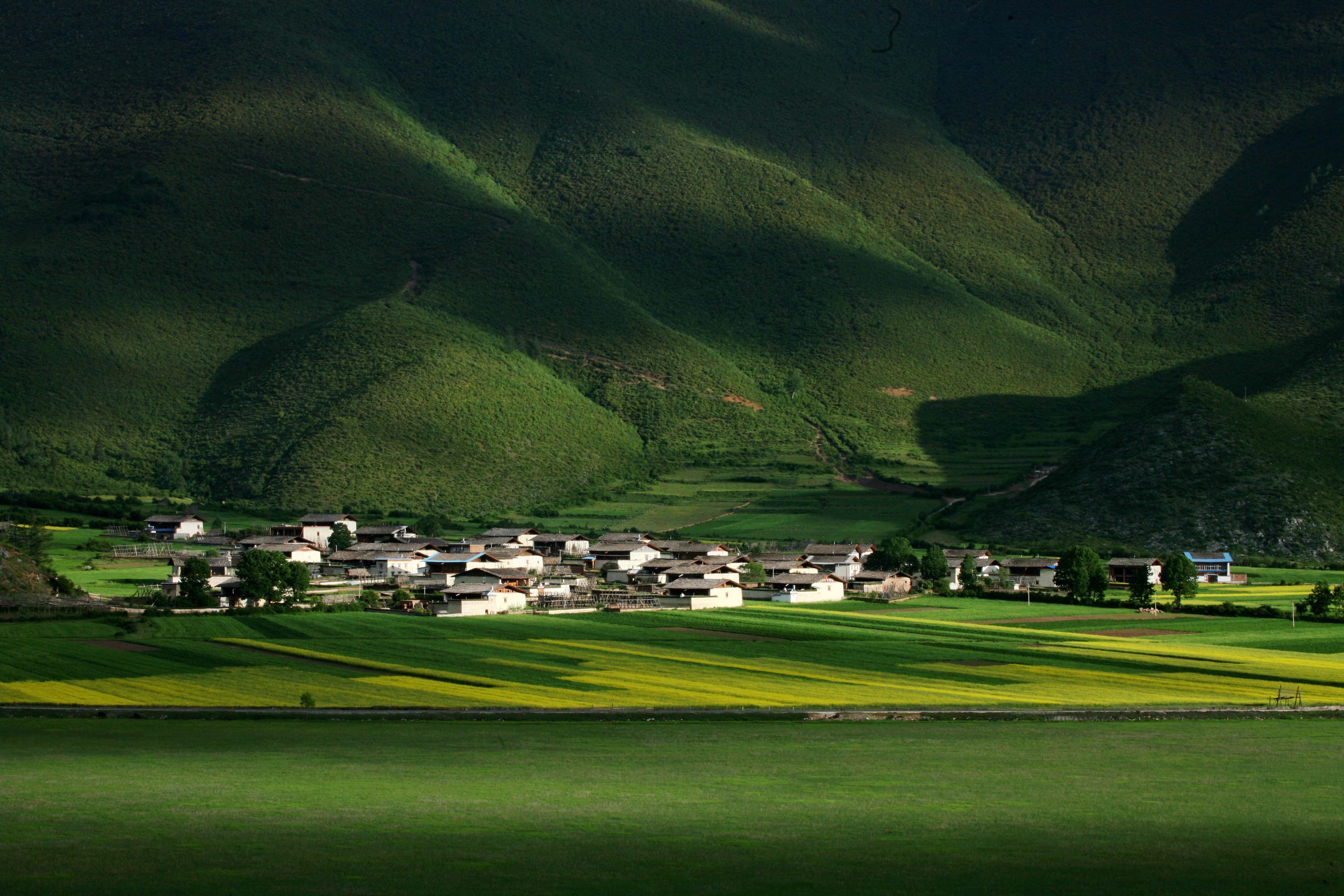 纳帕全茂风景.JPG