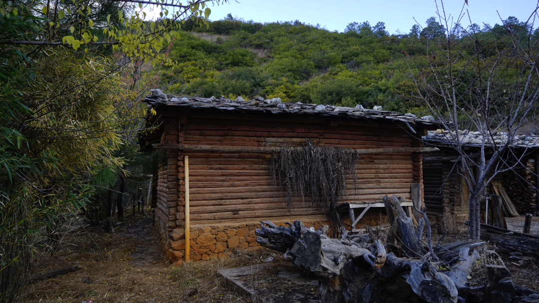 _DSC5481.JPG _DSC5481.JPG